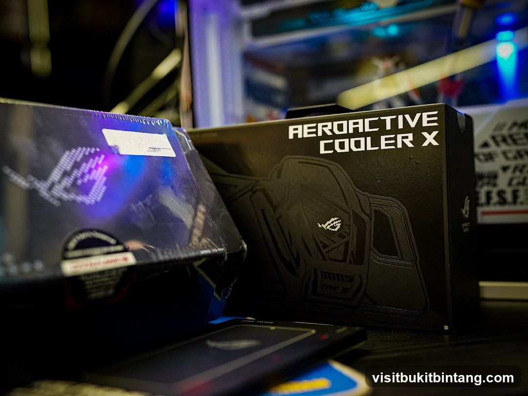 Computer Accessories