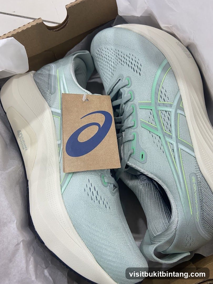 ASICS Running Shoes