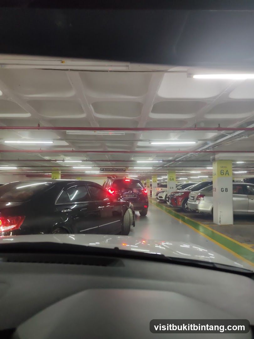 Cars in a Parking Garage