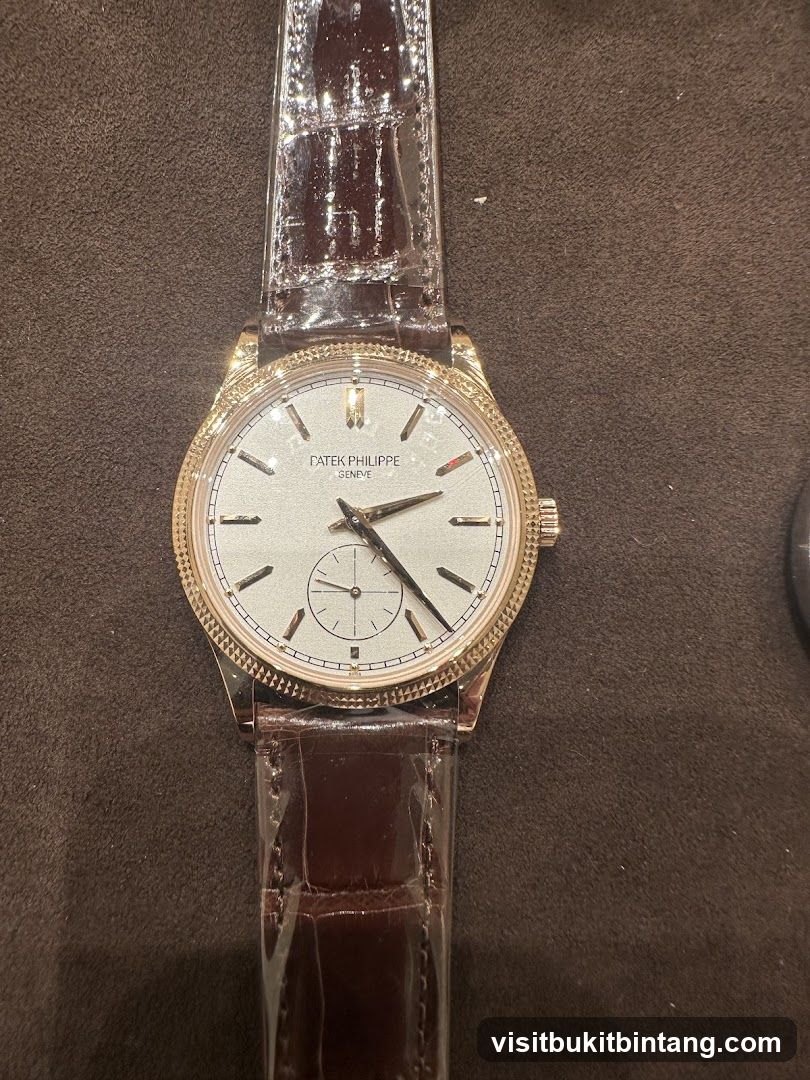 Patek Philippe Watch