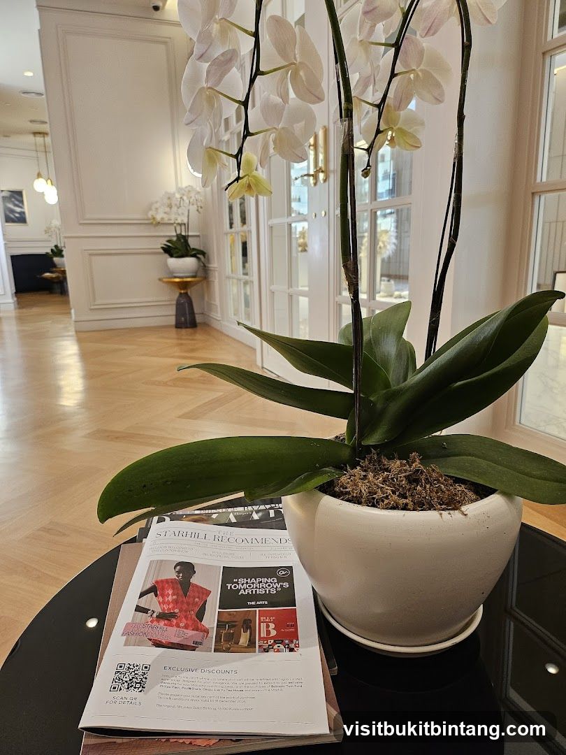 Orchid and magazines on a table