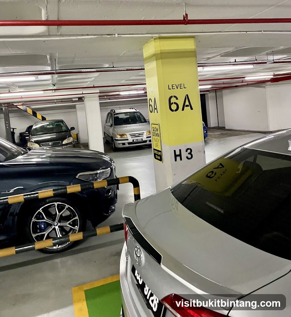 Parking Garage Level