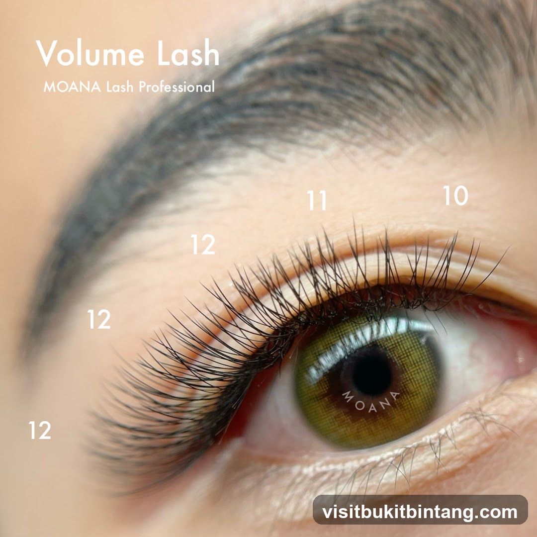 Volume Lash