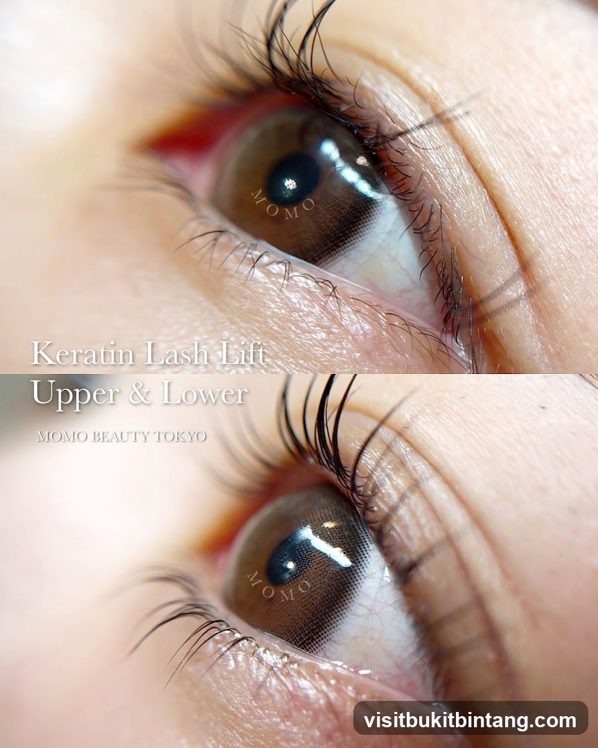 Keratin Lash Lift