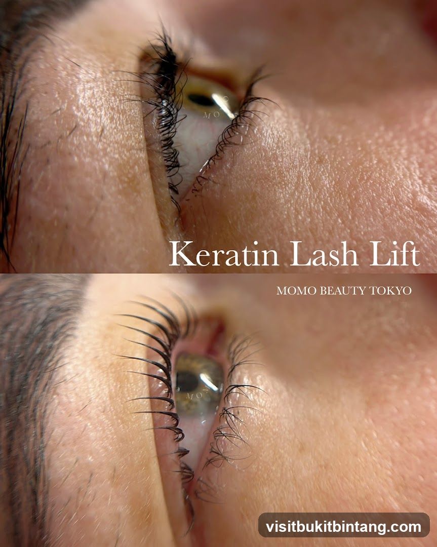 Keratin Lash Lift Before and After