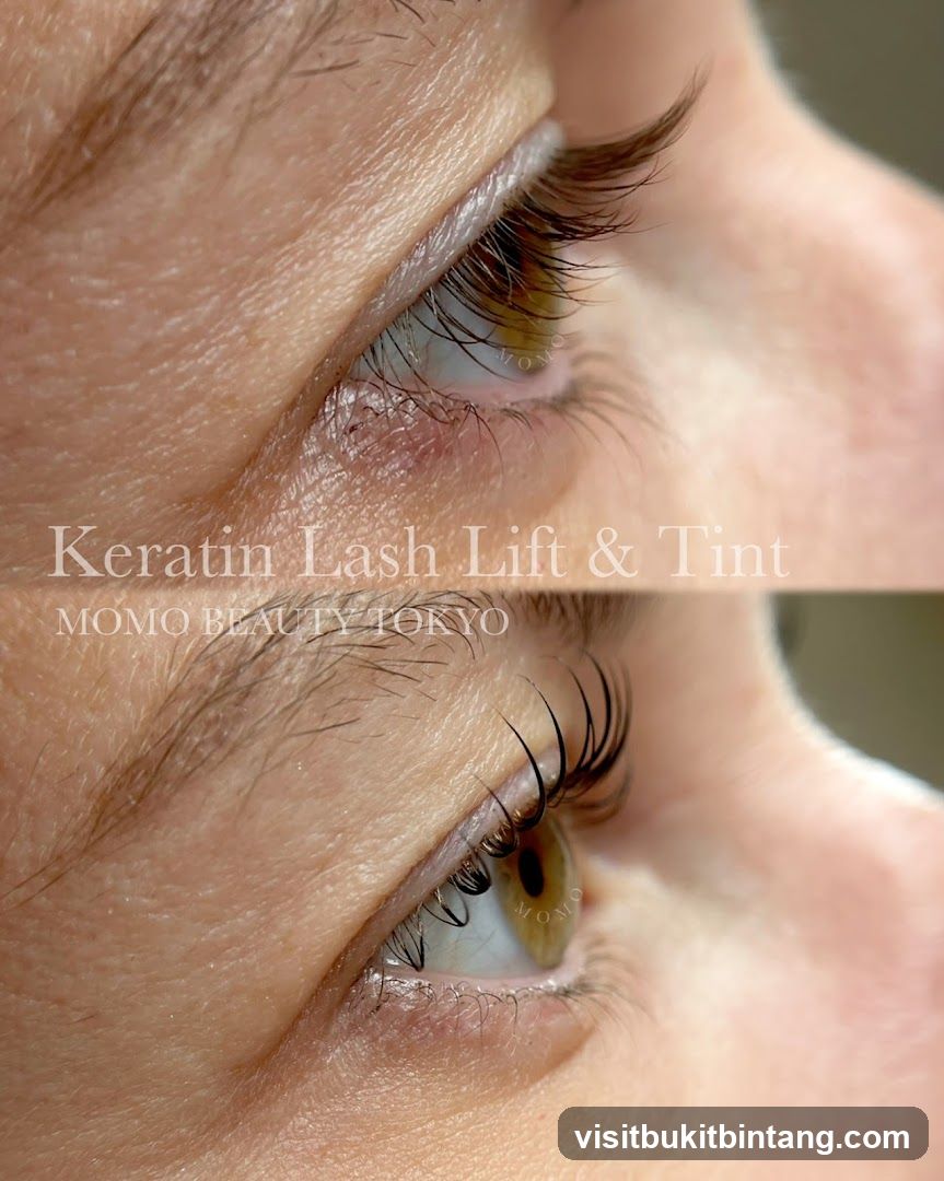 Before and After Keratin Lash Lift & Tint