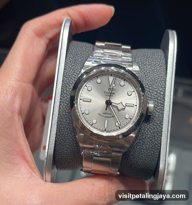 Tudor Watch Display