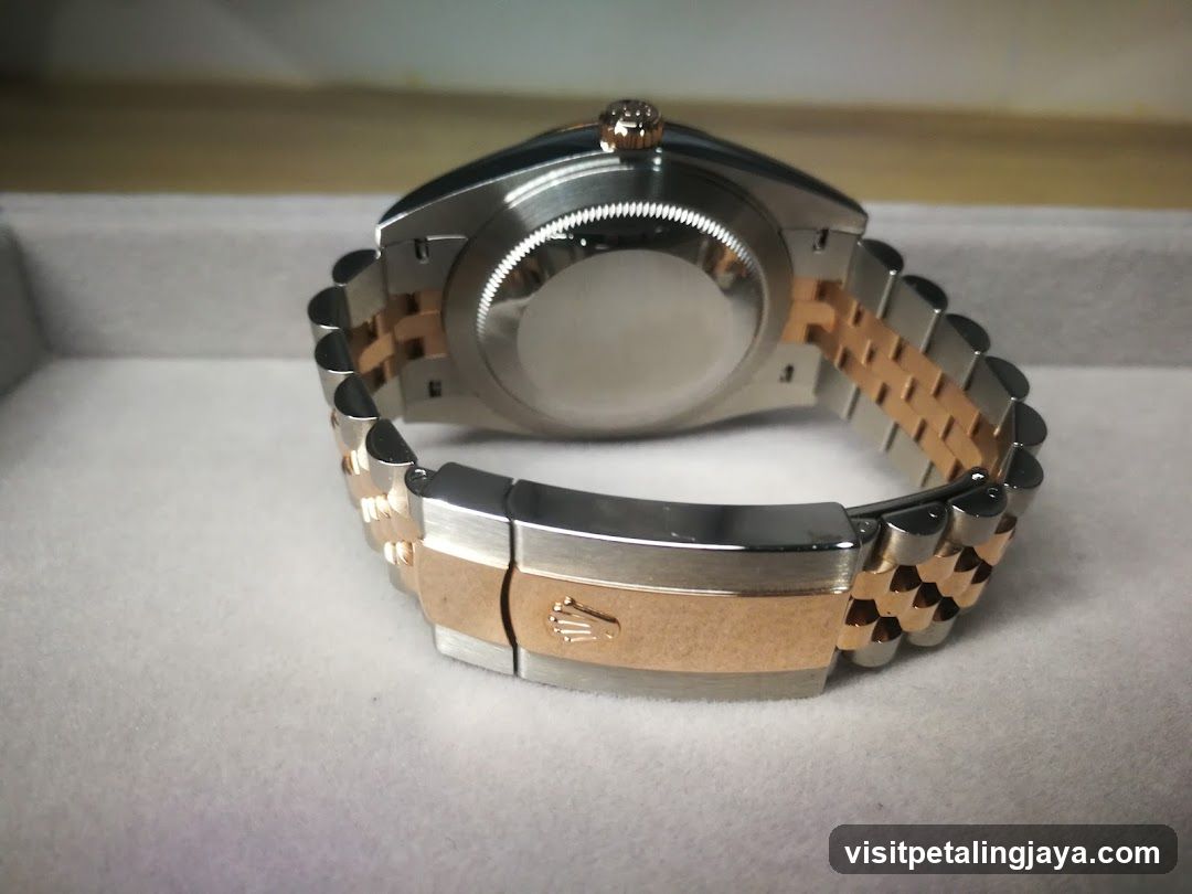 Luxury Watch Back View