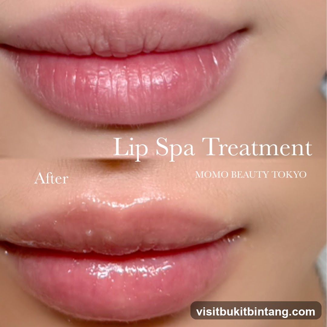 Lip Spa Treatment Before and After