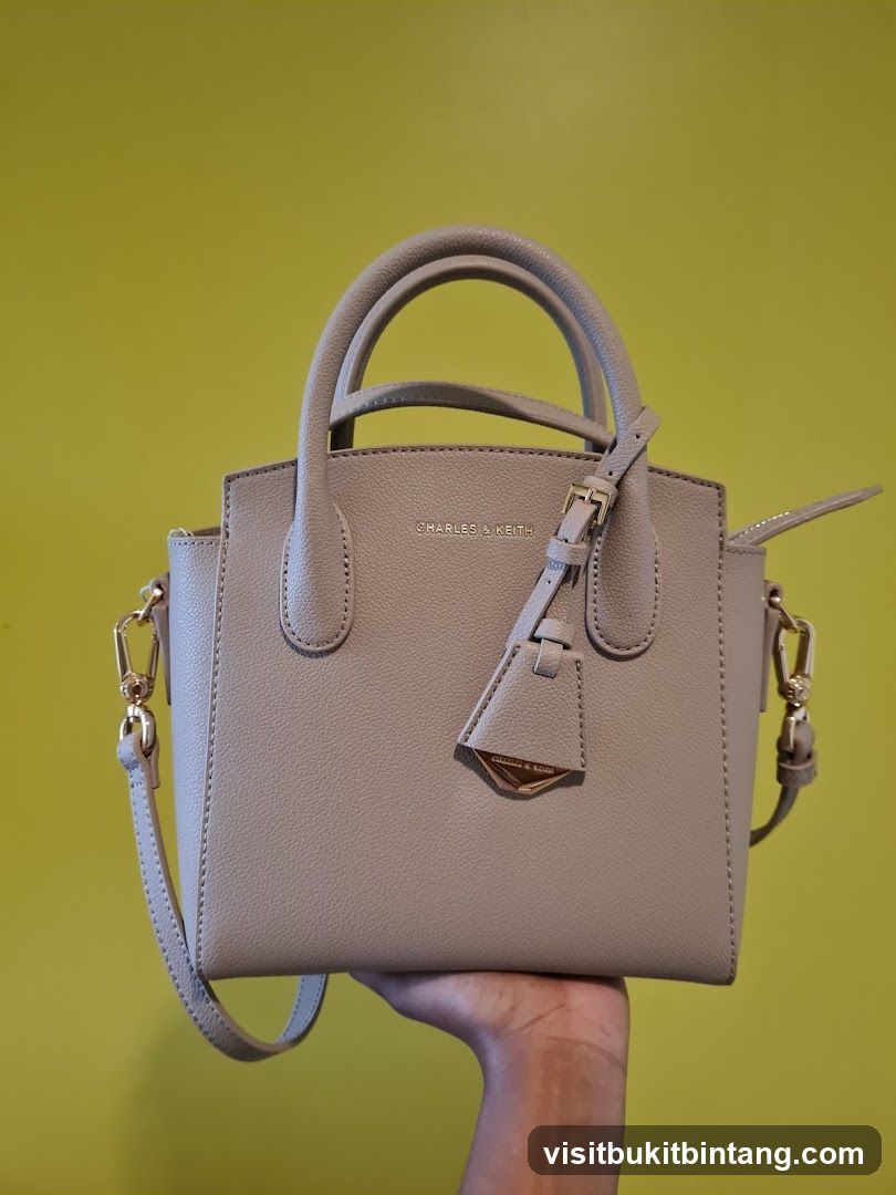 Charles & Keith Handbag