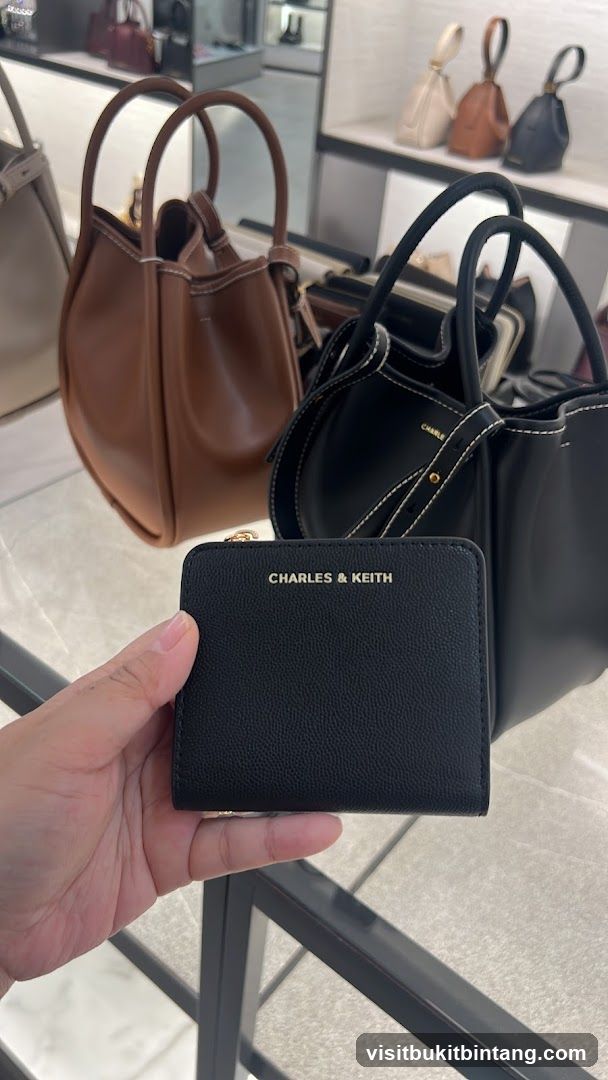 Black Wallet with CHARLES & KEITH Logo