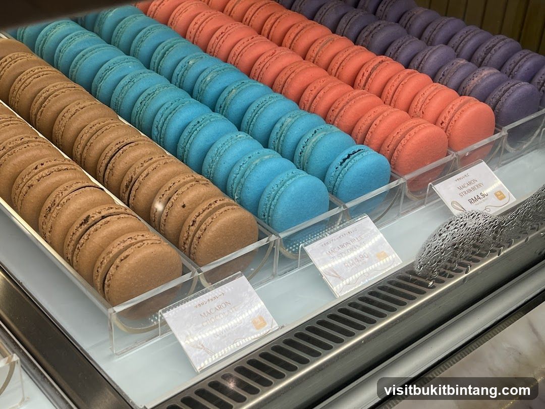 Assortment of Macarons