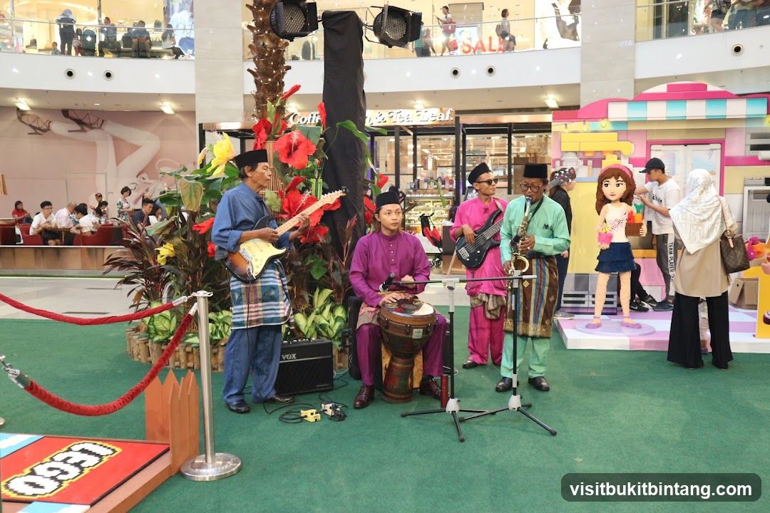 Live Music Performance in a Mall