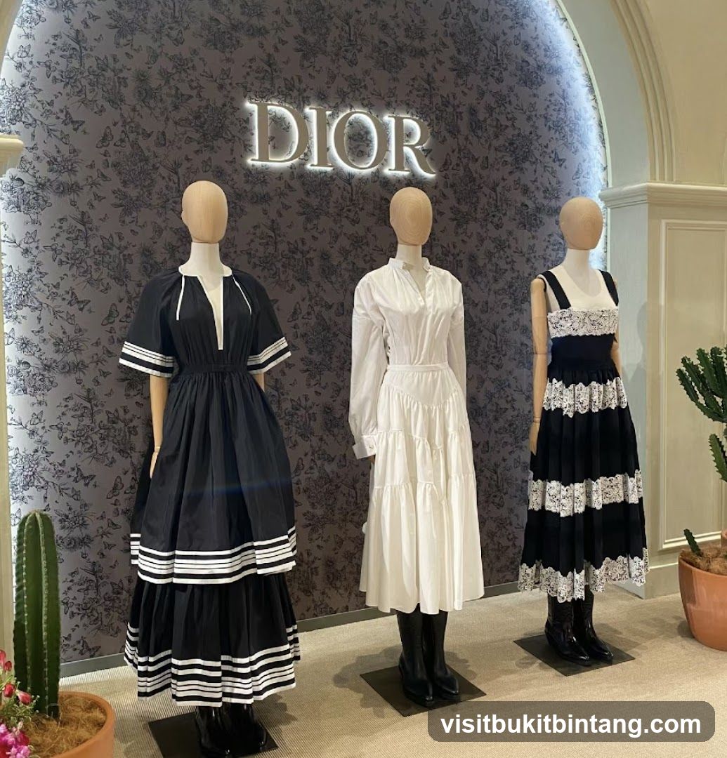 Dior Dresses on Mannequins