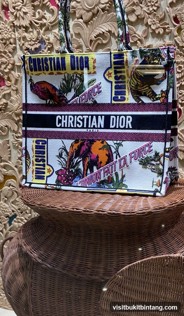 Christian Dior Tote Bag