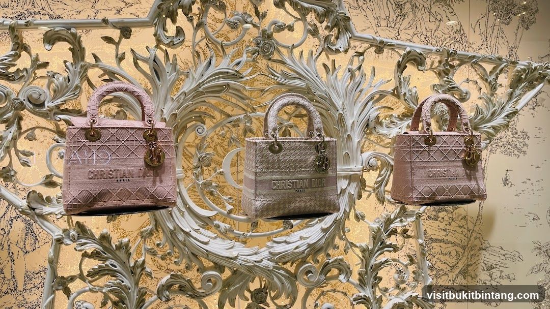 Dior Handbags