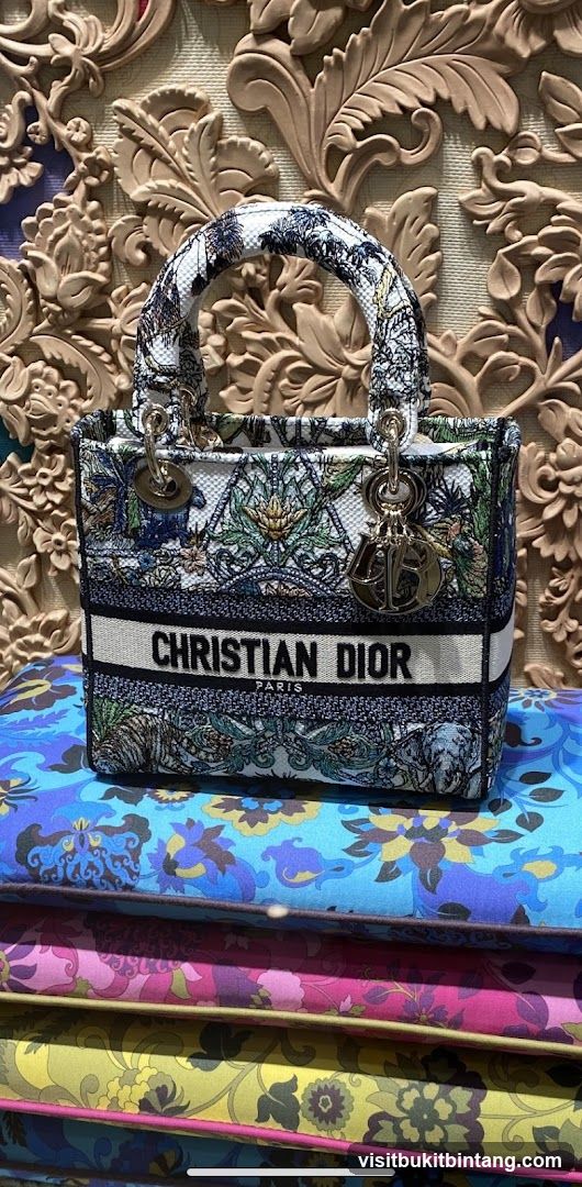 Christian Dior Handbag