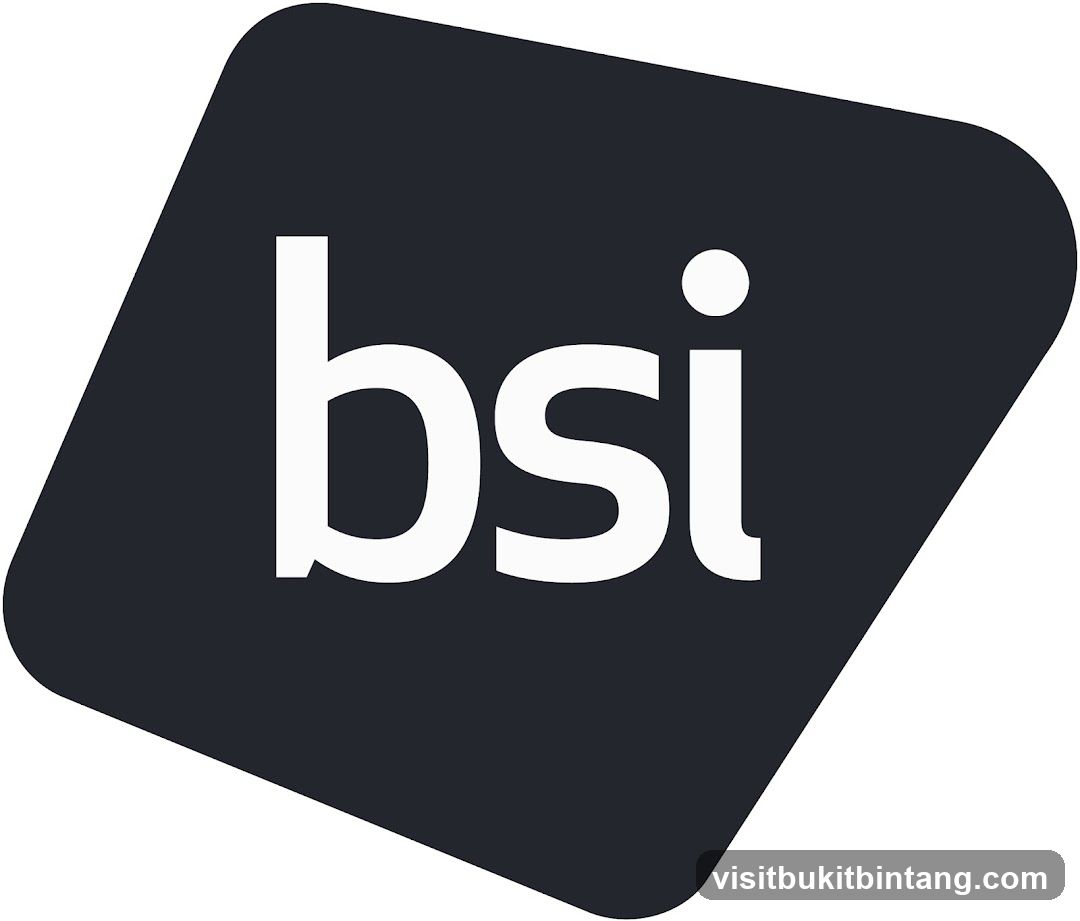 BSI Logo