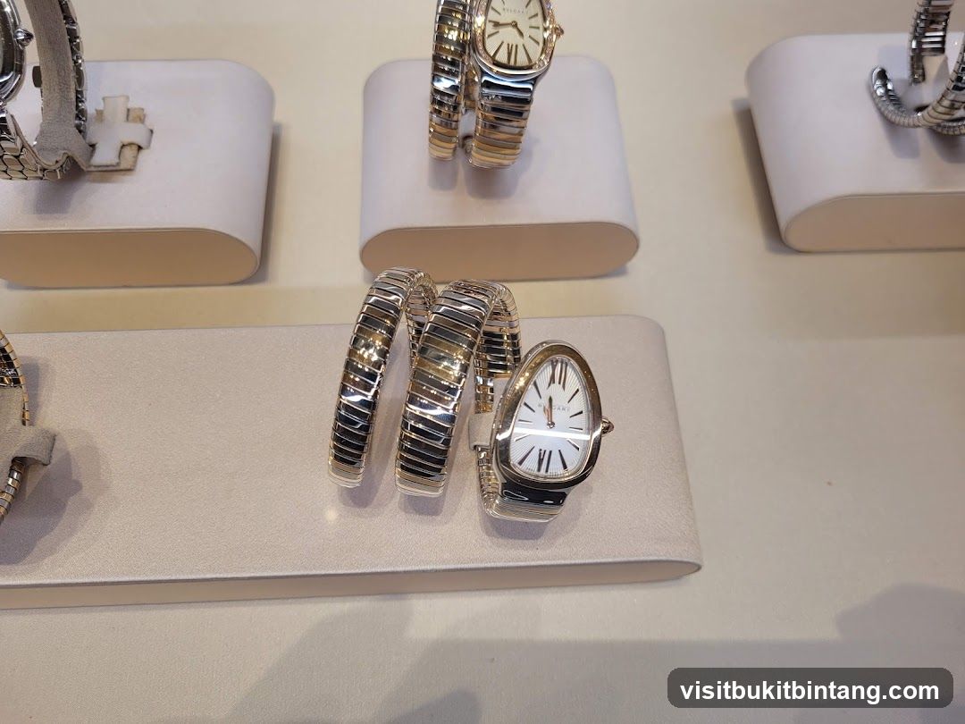 Luxury Watches Display