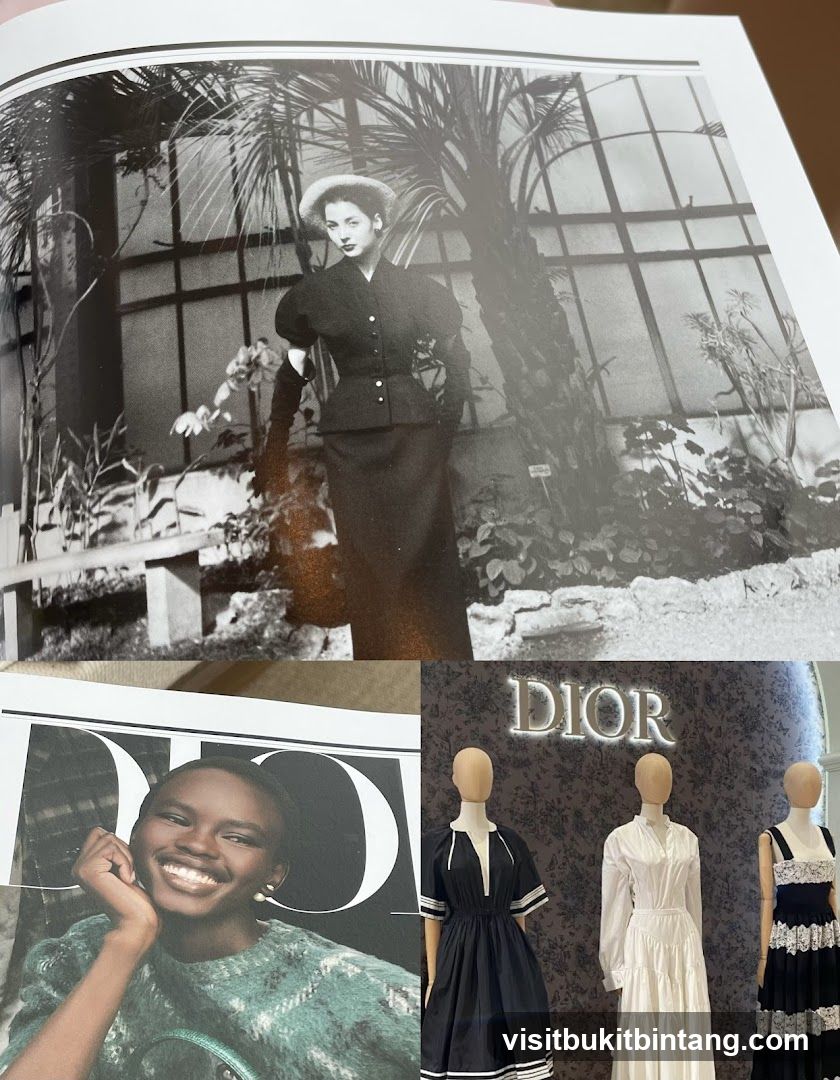 Dior Fashion Showcase