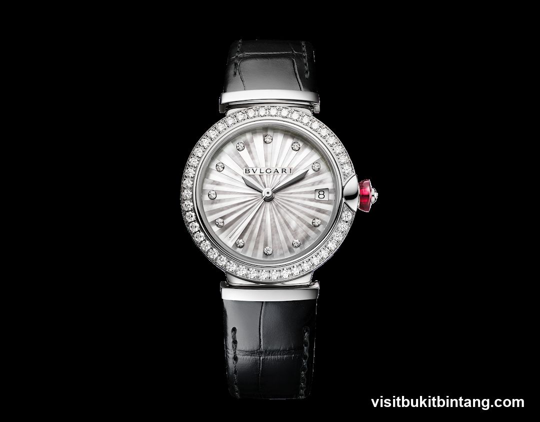 Bvlgari Watch