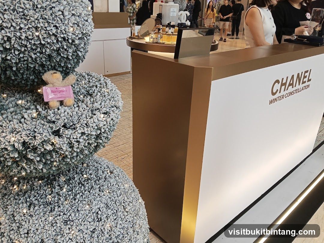 Chanel Winter Constellation Display