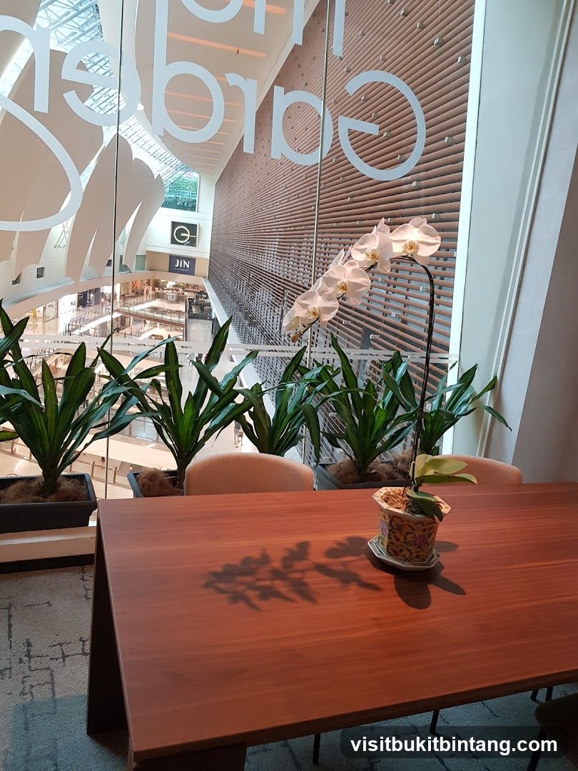 Orchid on a table overlooking a mall