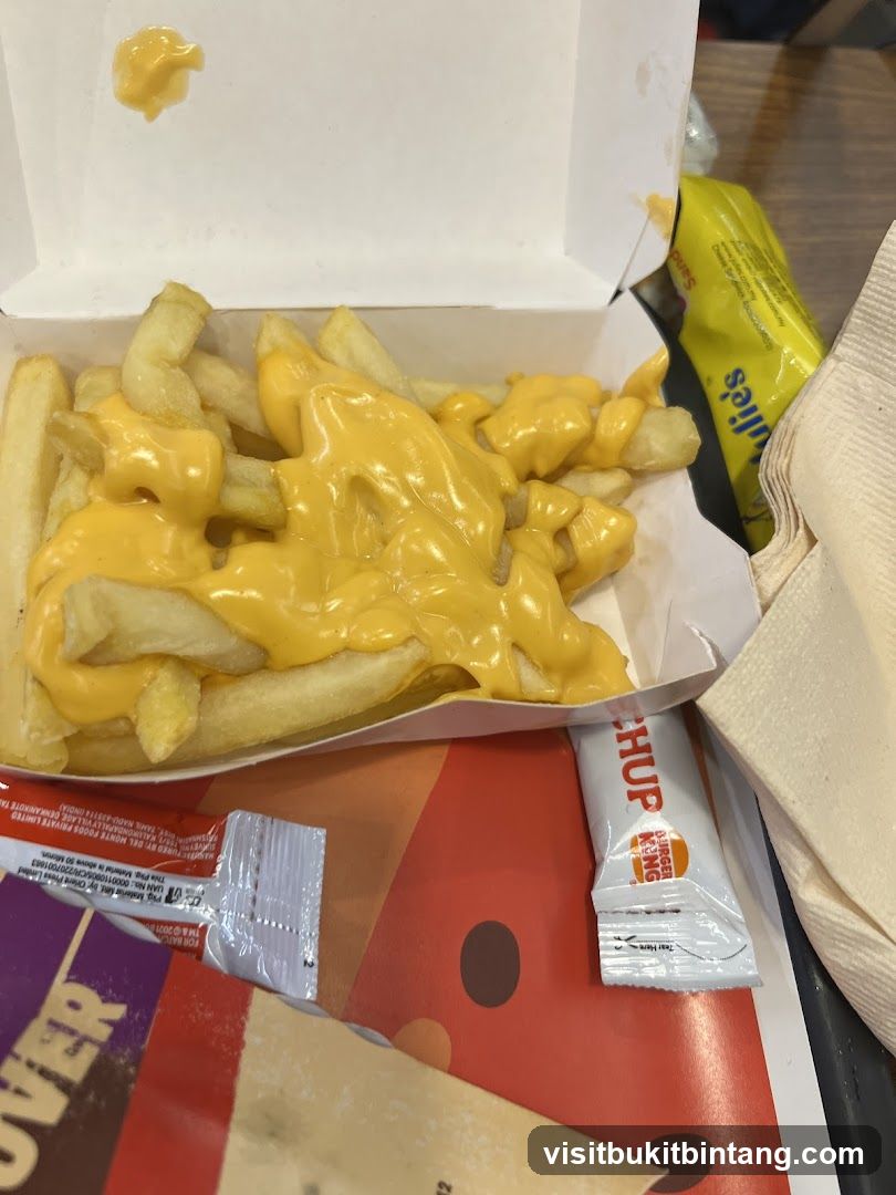 Cheese Fries