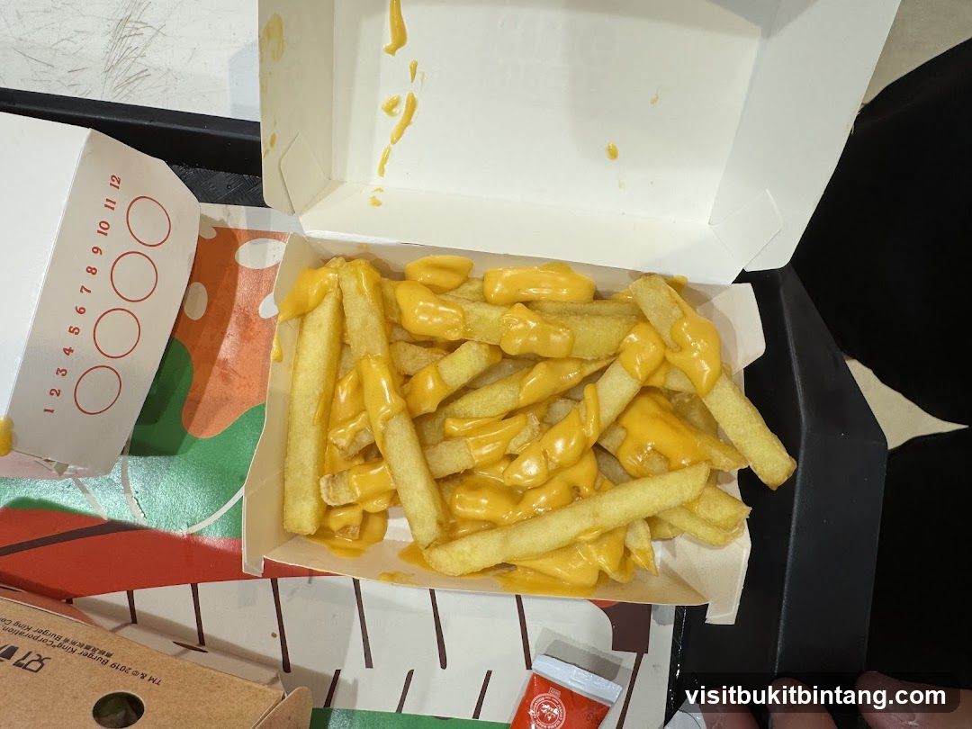 Cheese Fries