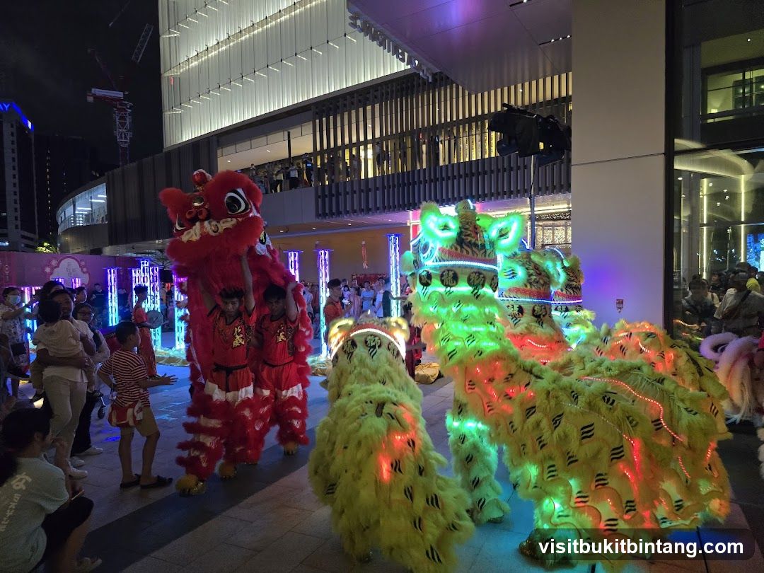 Lion Dance Performance