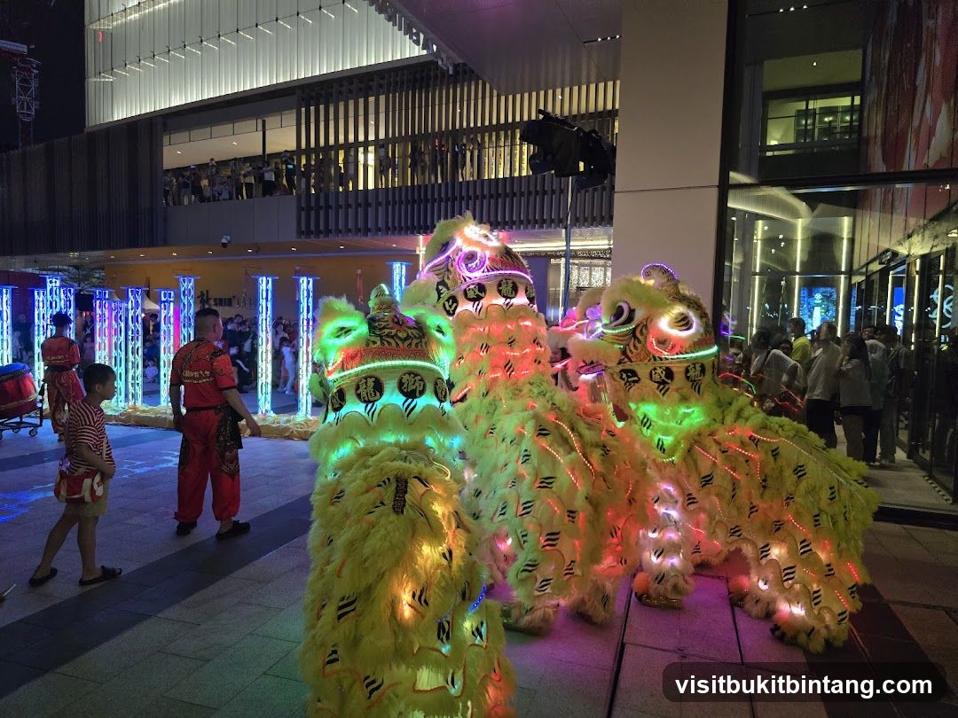 Lion Dance Performance