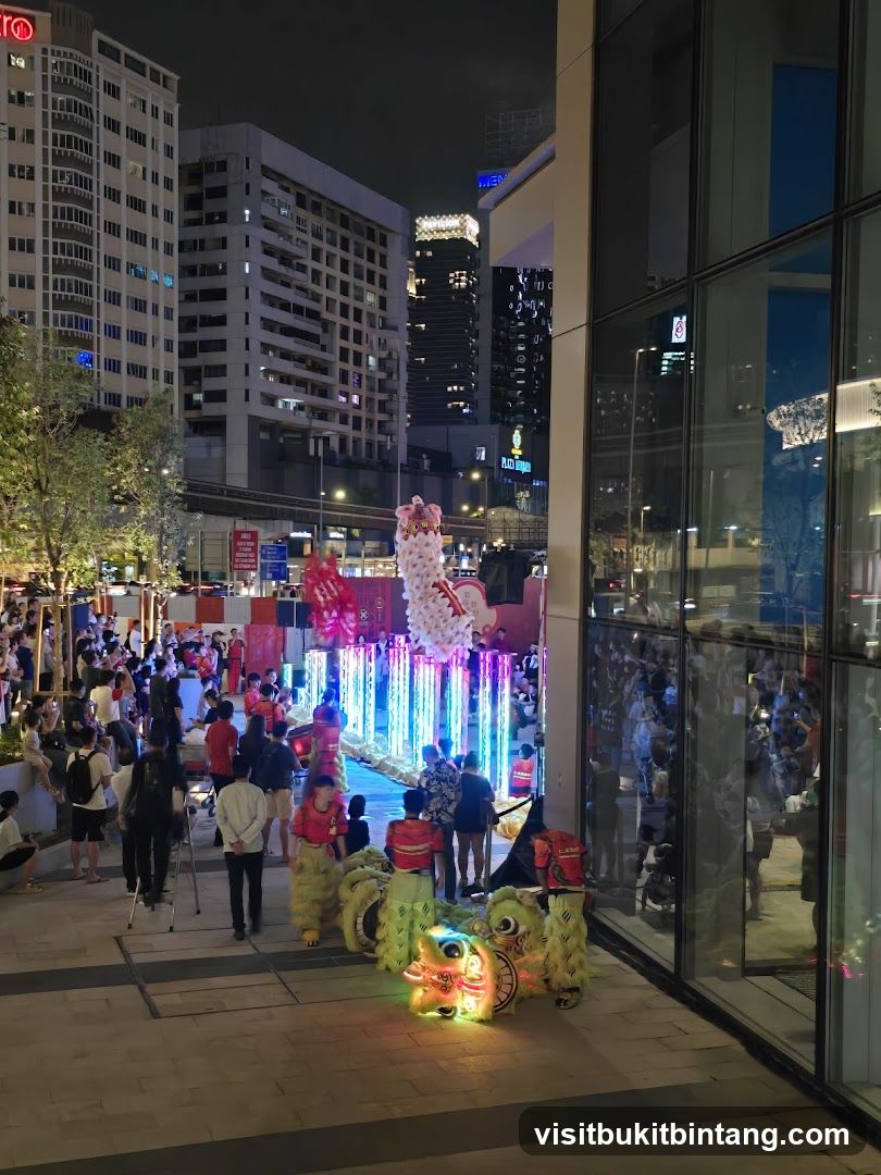 Lion Dance Performance