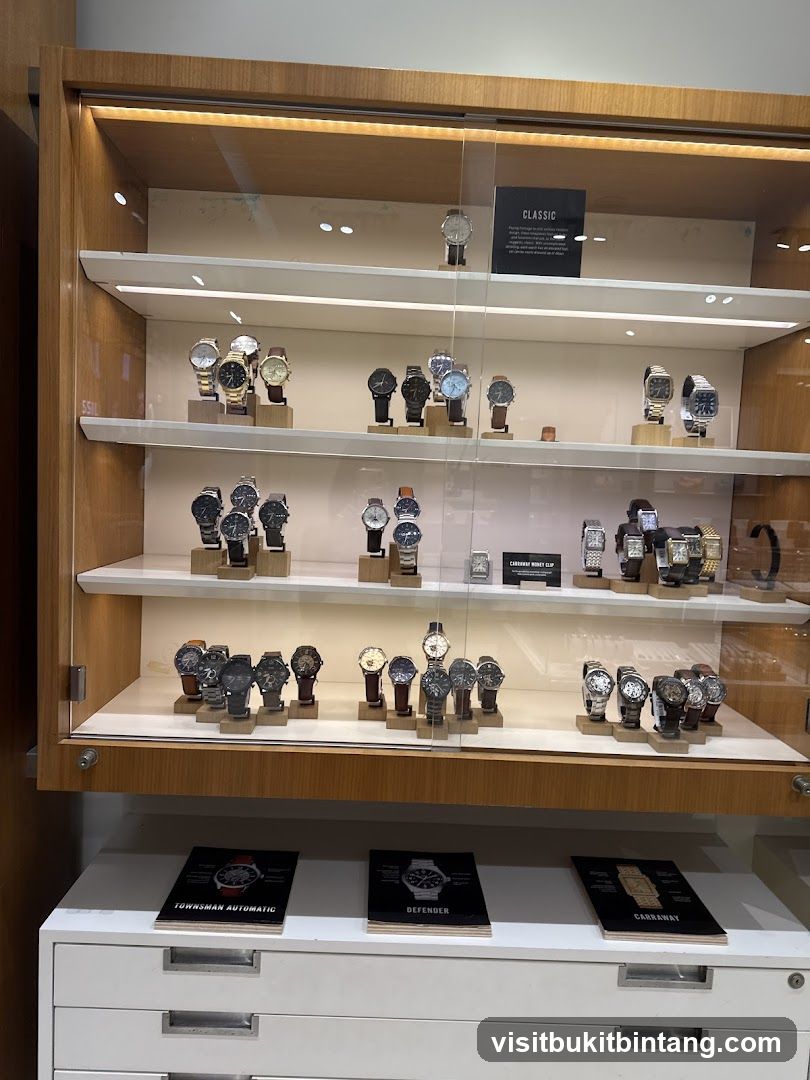 Watch Display Case