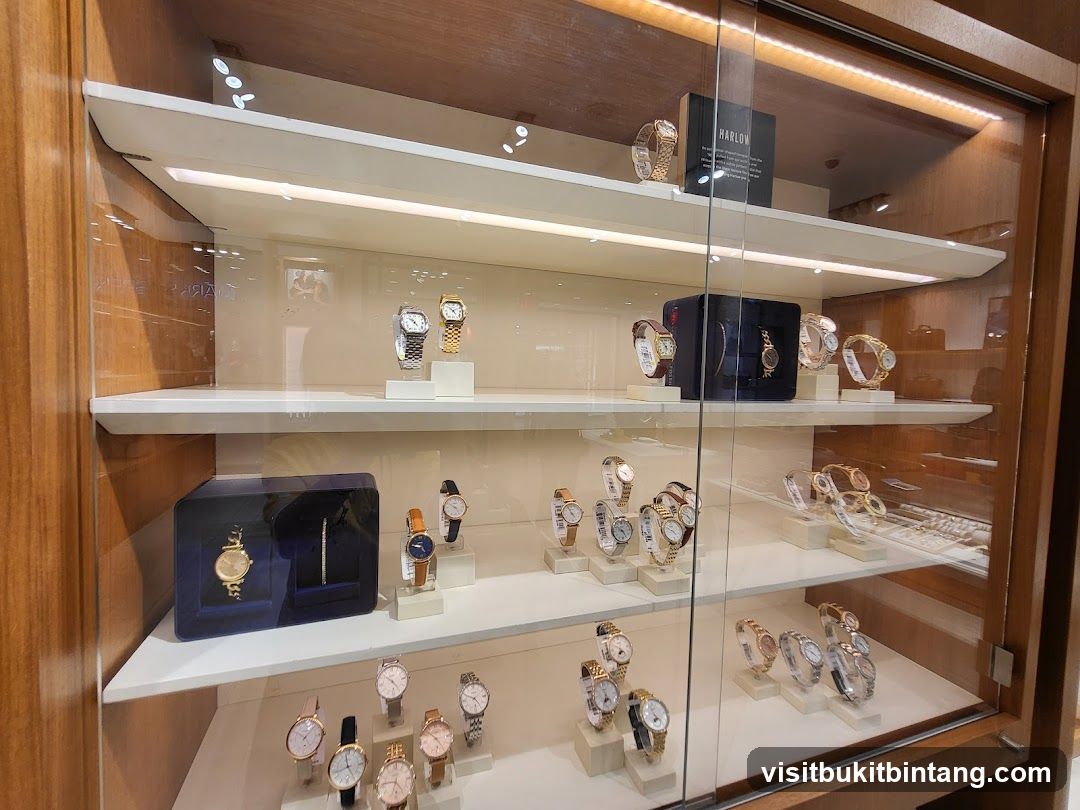 Watch Display Case