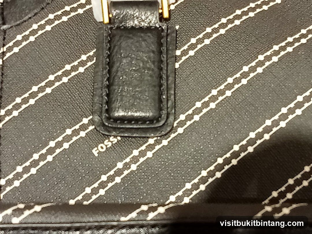 Fossil Logo Detail