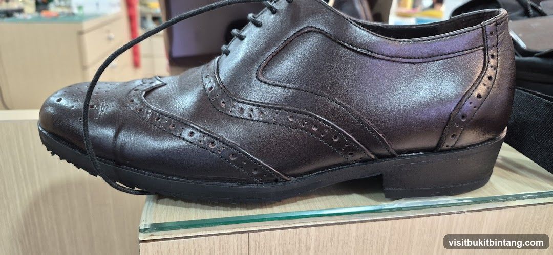 Brown Wingtip Shoe