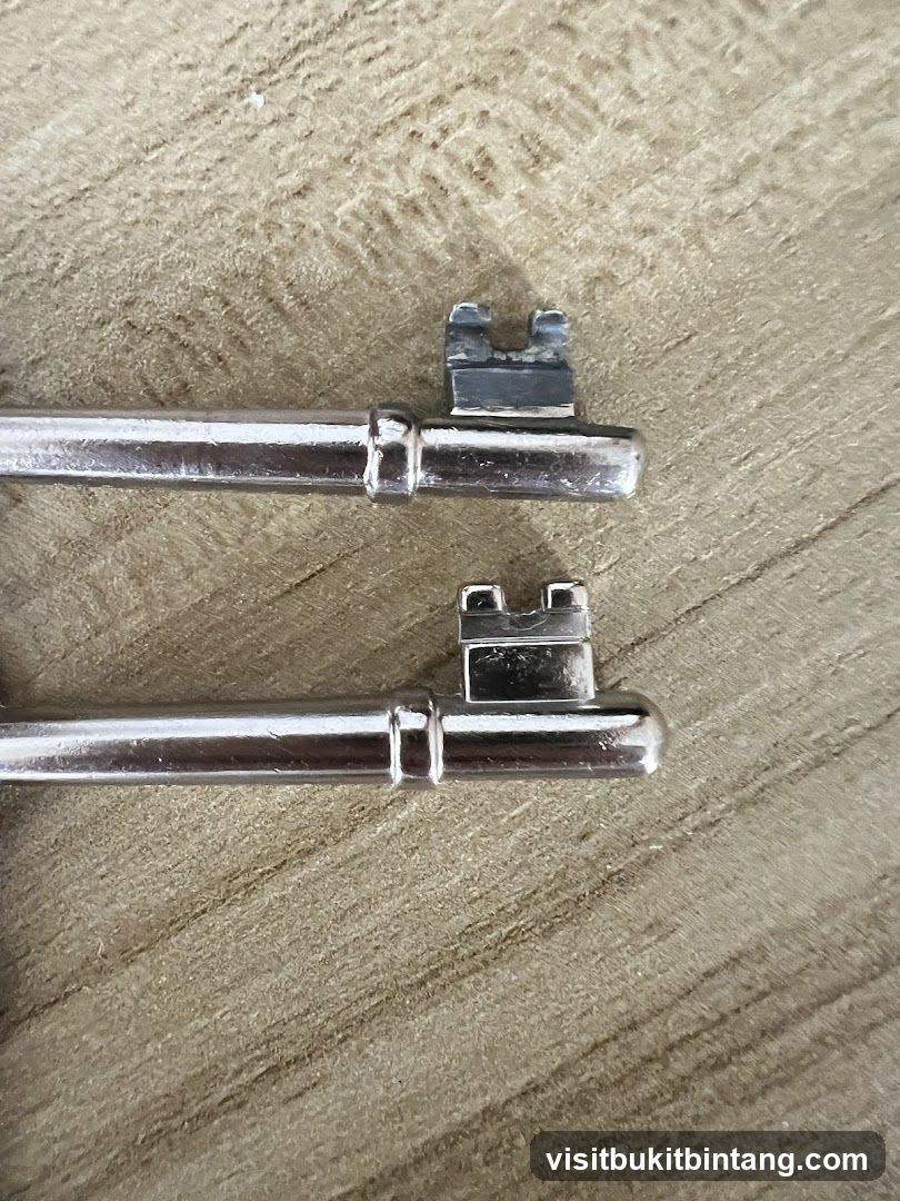 Two Skeleton Keys