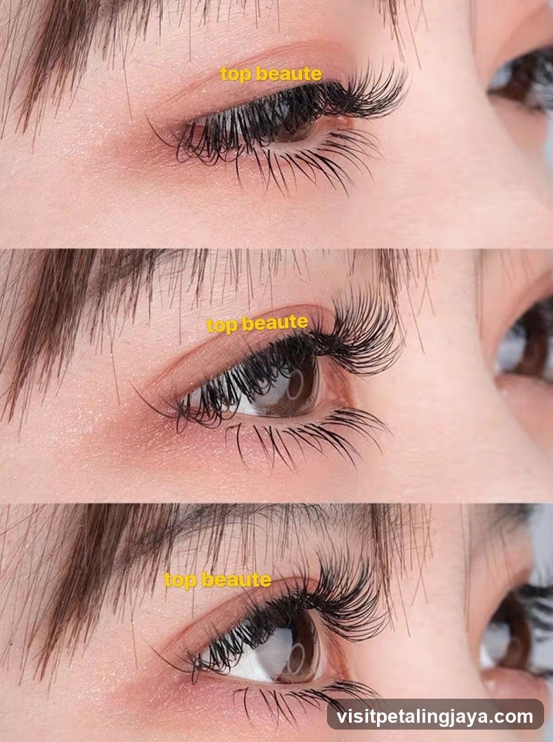 Top Beaute Eye Makeup