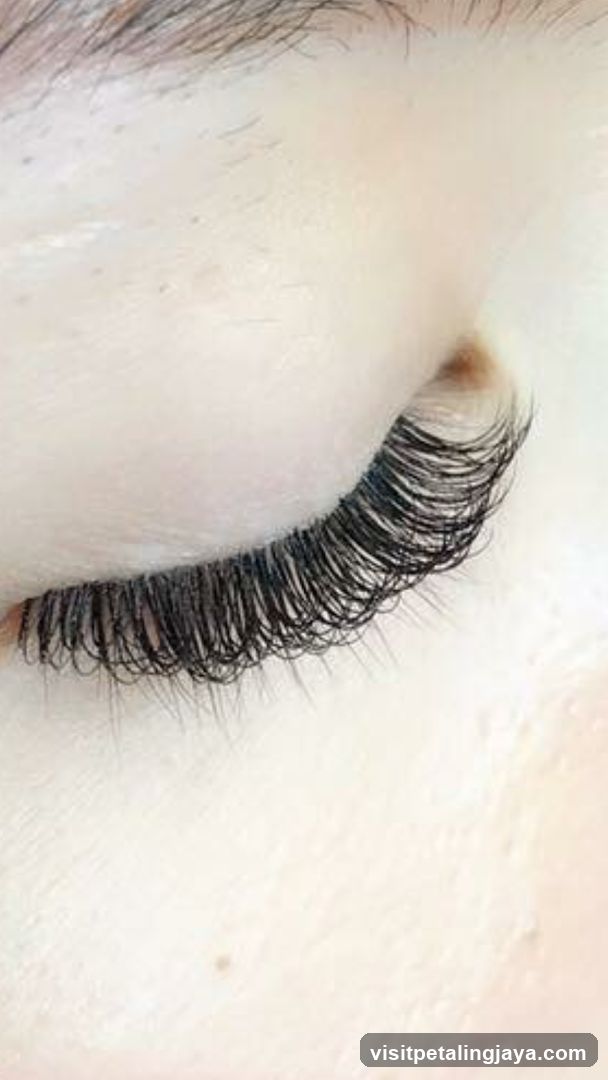 Close-up of eyelashes