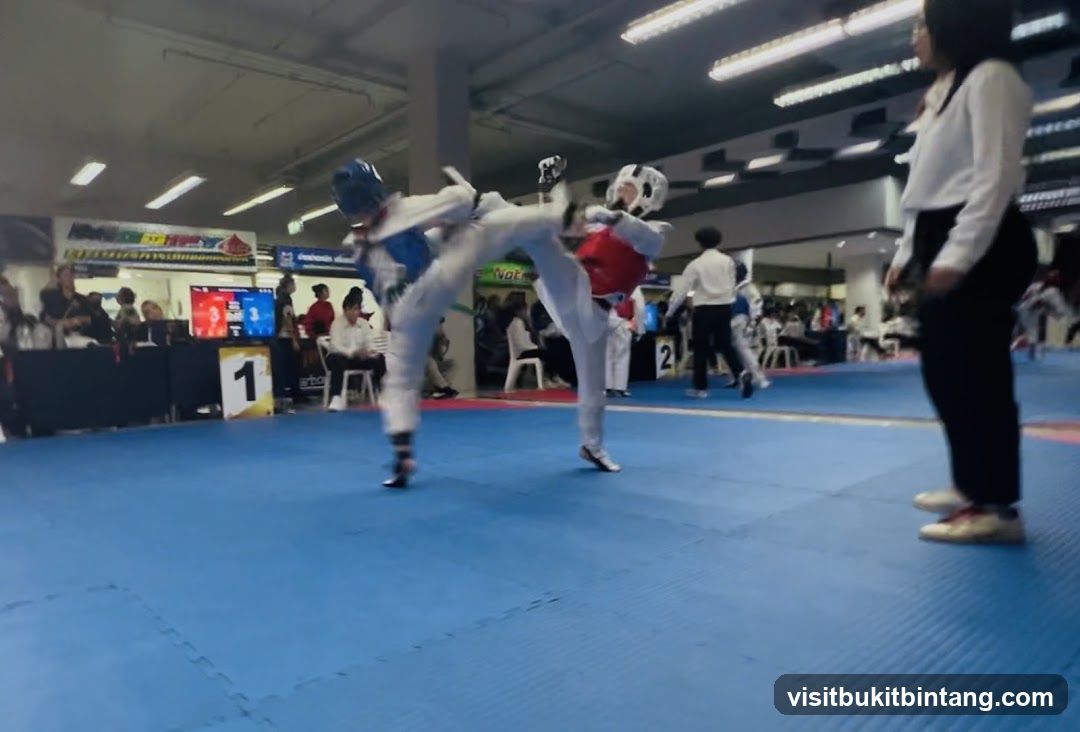 Taekwondo Competition