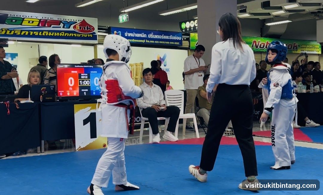 Taekwondo Match