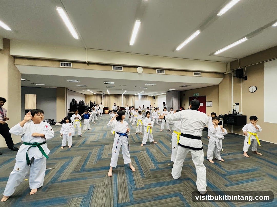 Taekwondo Class