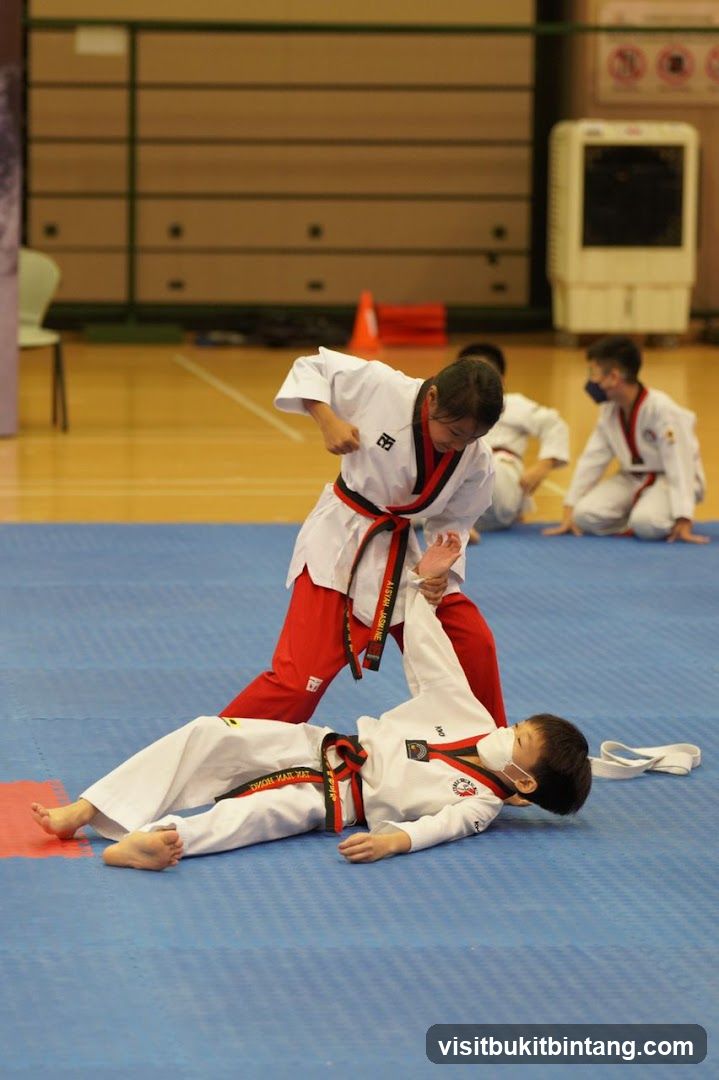 Taekwondo Practice