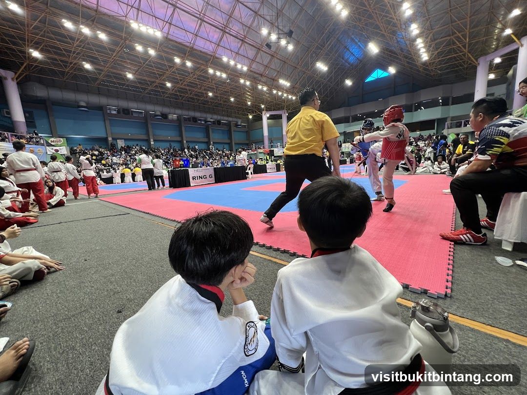 Taekwondo Competition