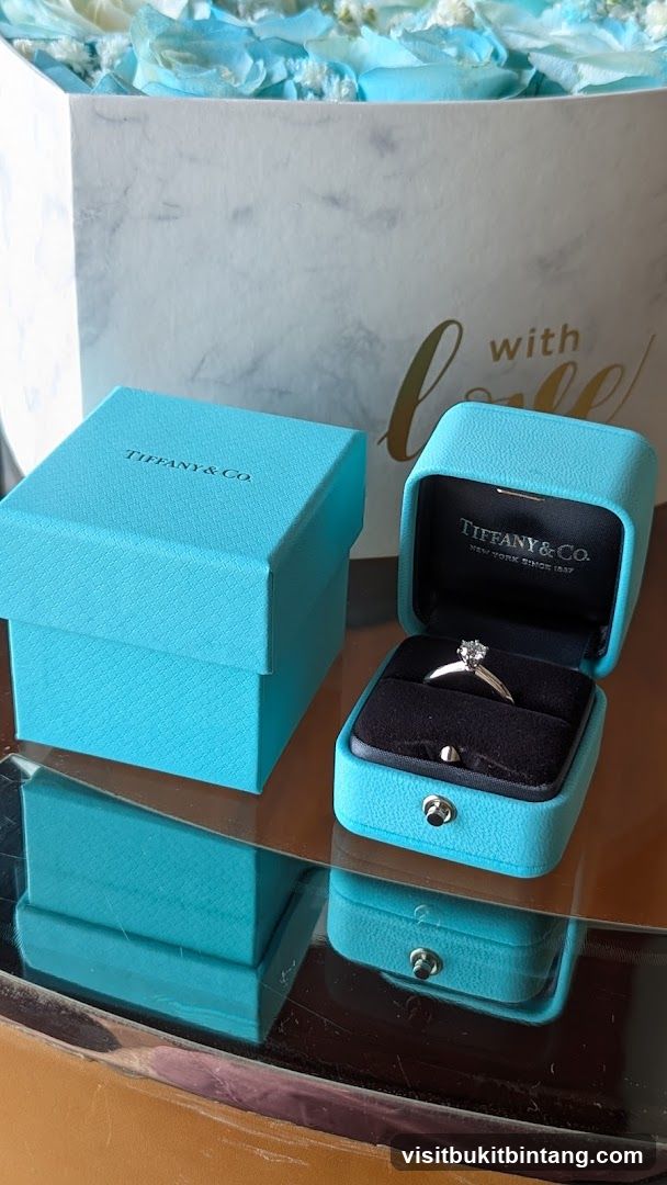 Tiffany & Co. Ring Box and Gift Bag