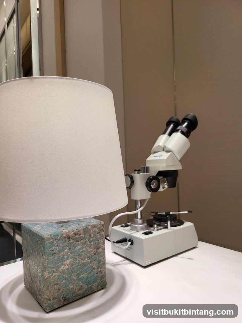 Microscope and Lamp