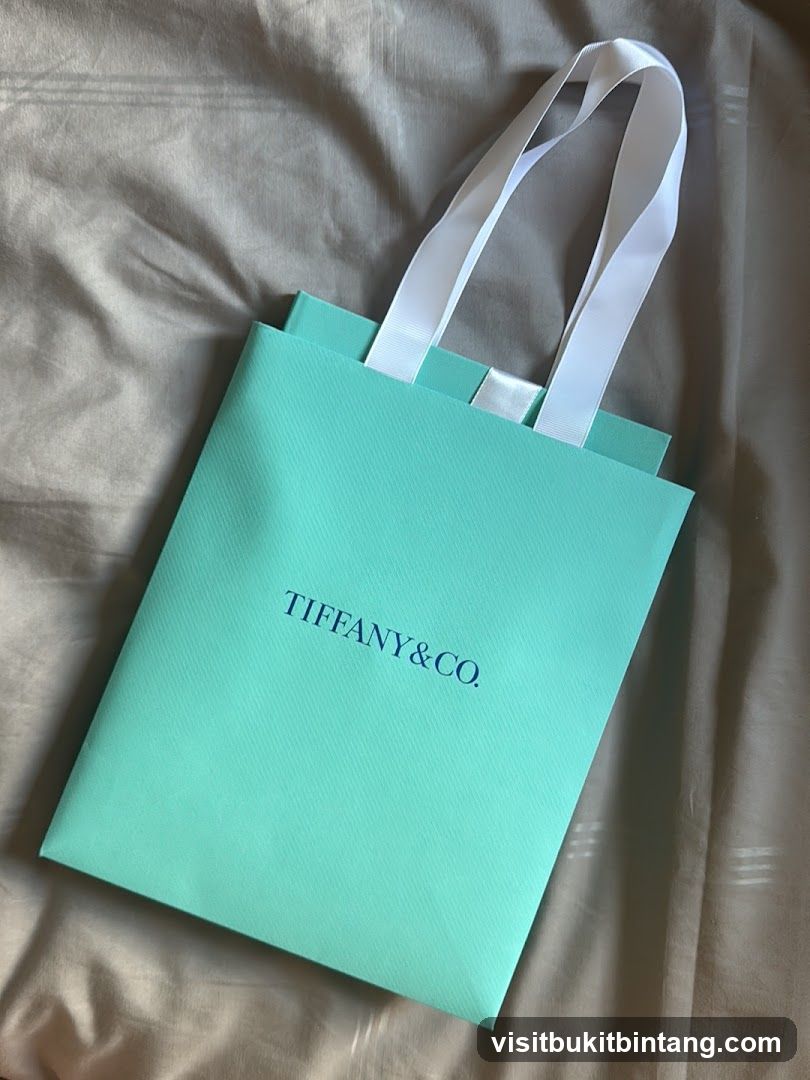 Tiffany & Co. Shopping Bag