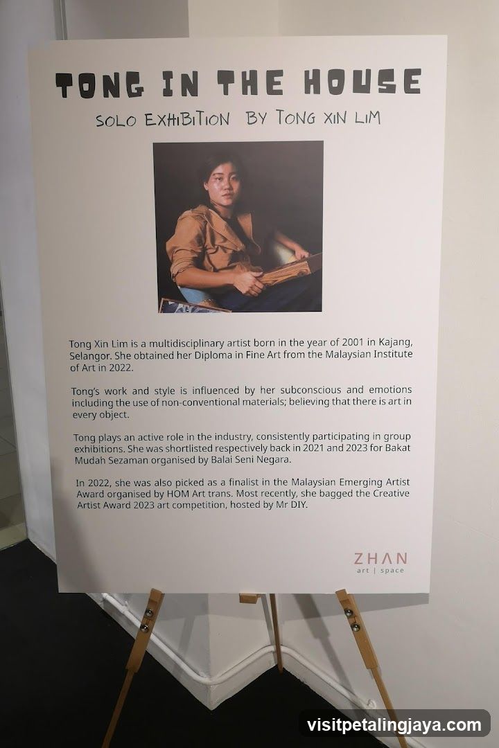 Tong in the House Solo Exhibition by Tong Xin Lim