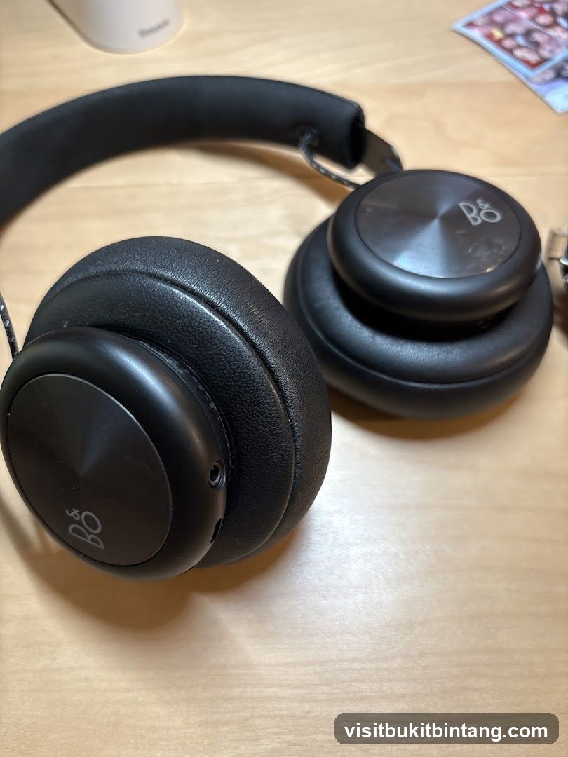 Black Headphones