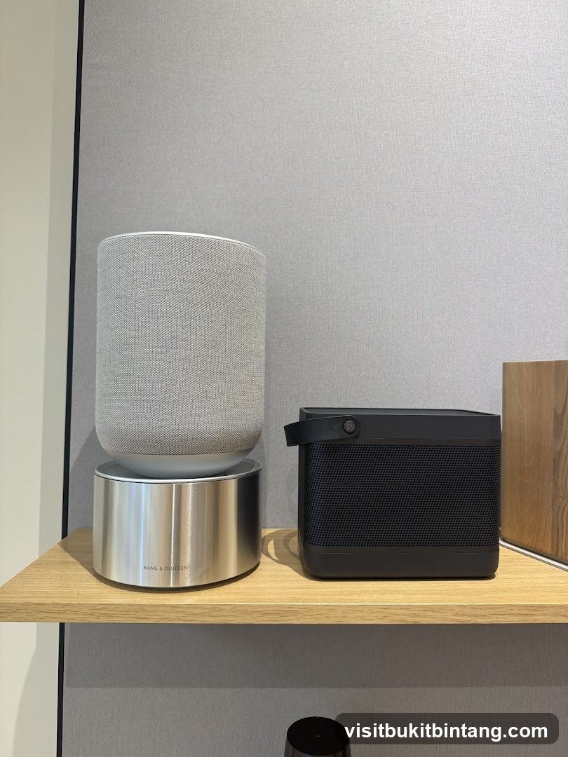 Bang & Olufsen Speakers